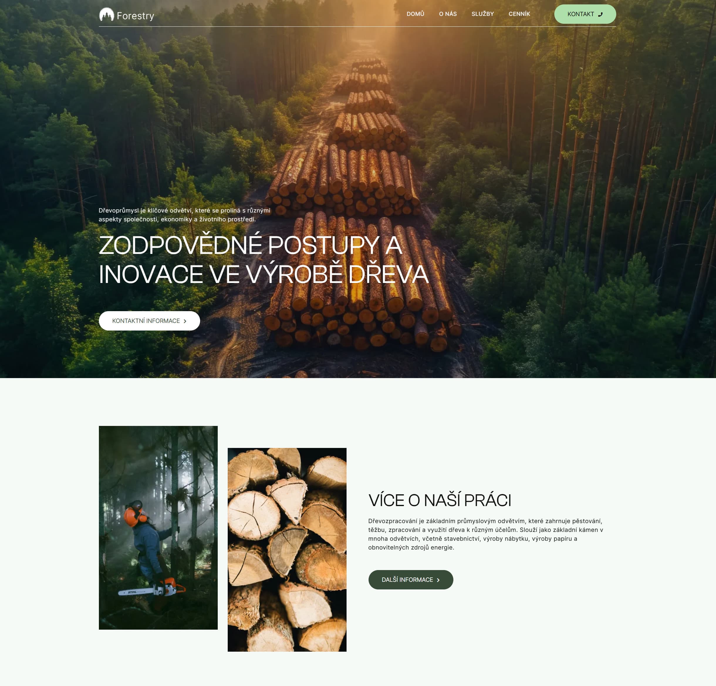 Portfolio item thumbnail